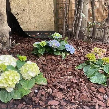 Maison 200m2- 9 Avec Sdb - 16-18 Personnes - Seminaire-proche Centre-ville-gare Et Arena-terrasse Nyaraló Reims